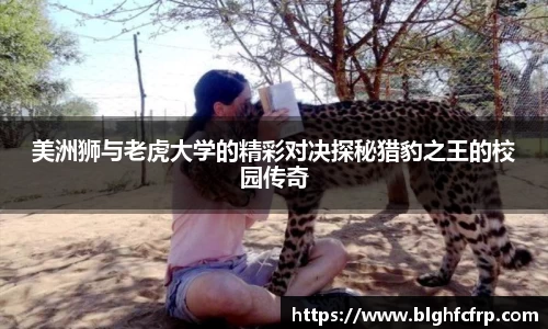 美洲狮与老虎大学的精彩对决探秘猎豹之王的校园传奇