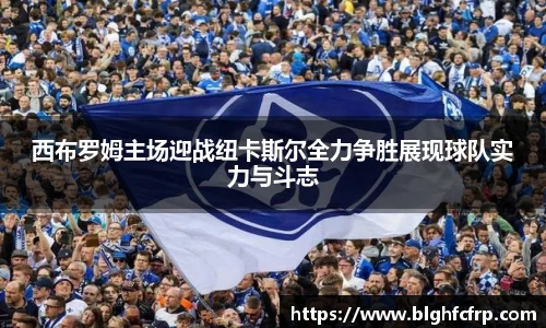 西布罗姆主场迎战纽卡斯尔全力争胜展现球队实力与斗志