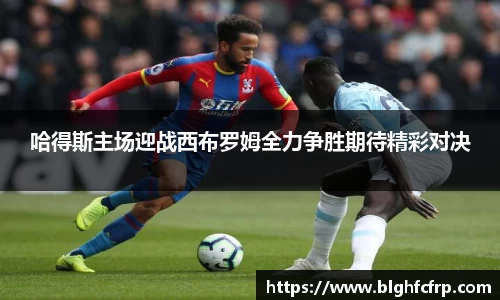 哈得斯主场迎战西布罗姆全力争胜期待精彩对决